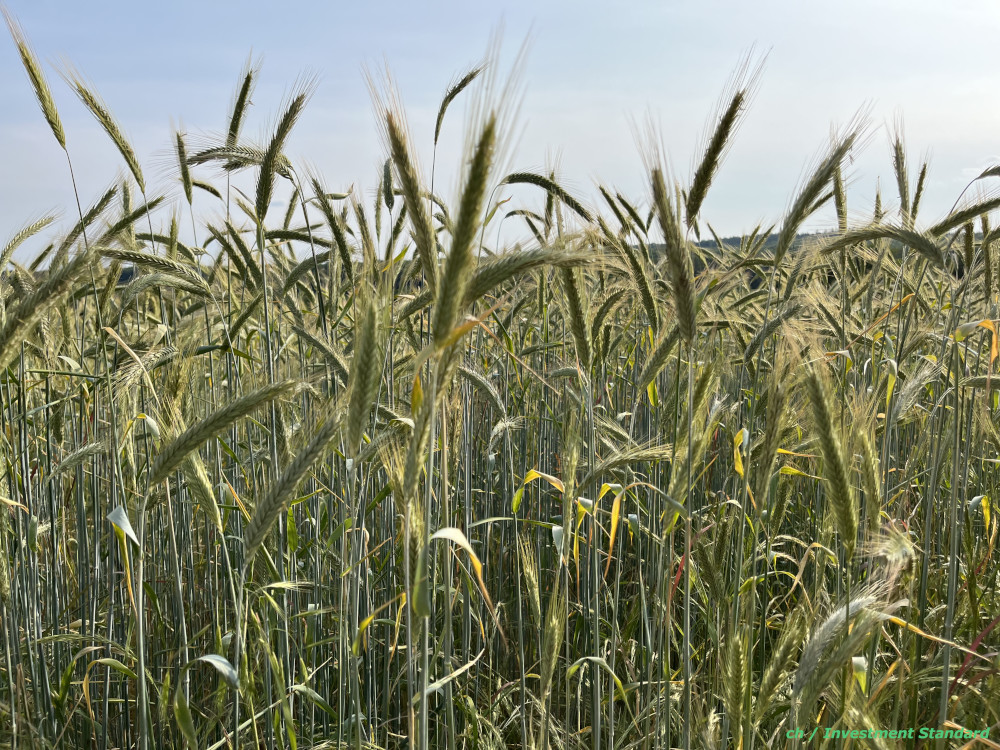 High Yield effektiv über 5% verzinst
